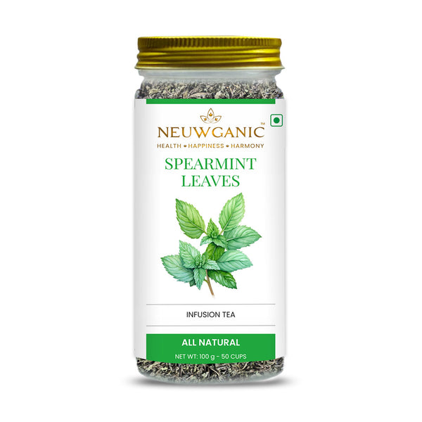 Spearmint Infusion - Loose Leaf Tea
